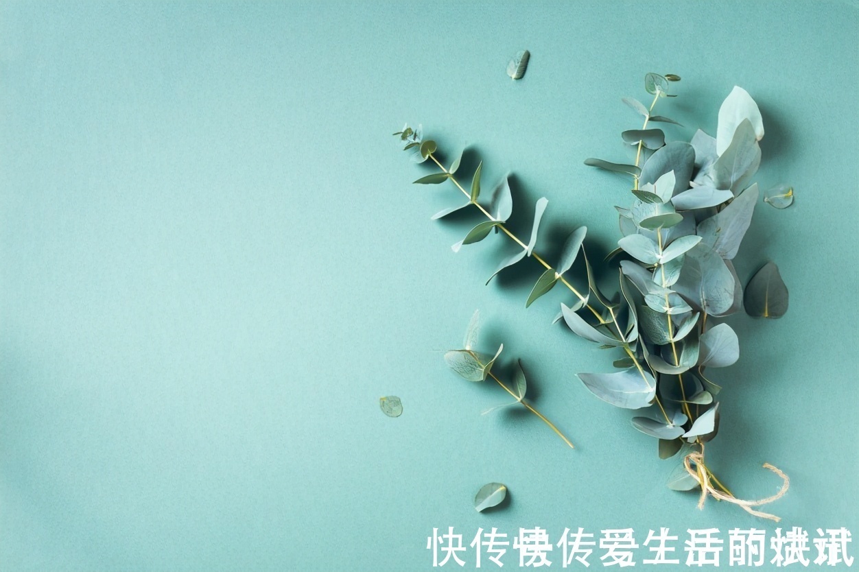 三十而已#读书的女人和不读书的女人,有哪些本质的差别