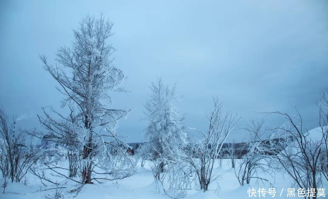 比东北“亚雪”还美的公路，这条小众边境天路，资深驴友都想去！