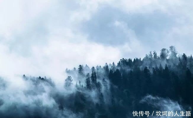 聪明和智慧是两回事(看后大悟)