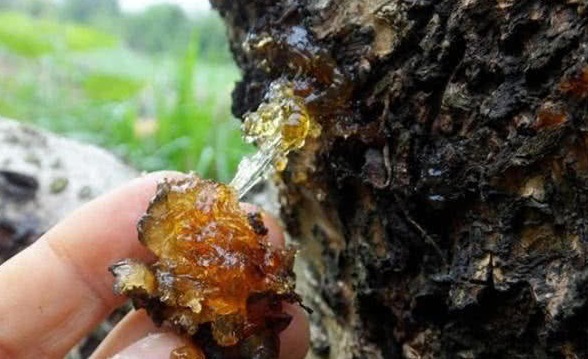 排毒|女性来“例假”,4大零食敞开吃,排血排毒,体重“嗖嗖”降