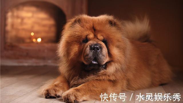 鼓膜|24个冷知识：真实存在于世界，可以使人博学的有趣知识