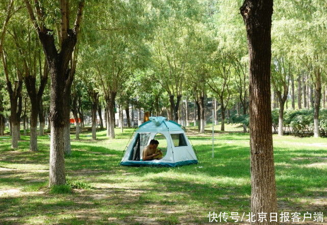 新蓝海|社区平台带动“露营热”，北京成露营关注热度最高城市
