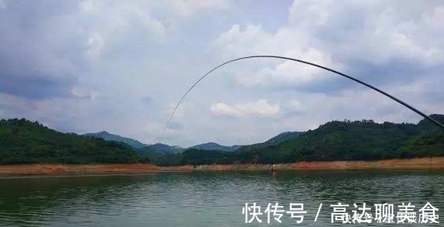 大鱼|给你个忠告:秋钓鲤鱼就用这“硬招”,鱼竿瞬间就是一个大弯弓