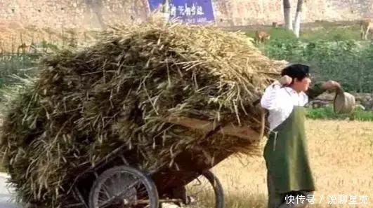 满满的|二十多年前收麦子的老照片,满满的丰收喜悦