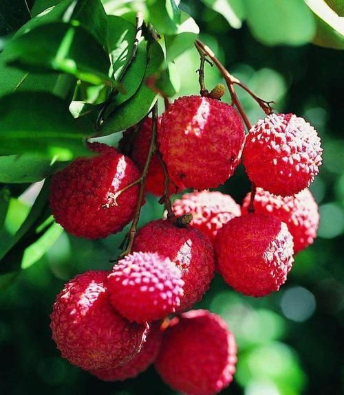 春天不妨常吃几种食物，美容养颜，缓解脸部的皱纹，显年轻！