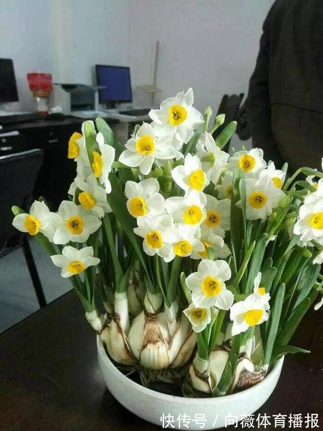 十种“大毒花”，家里经常养，越漂亮毒性越大，避开为好