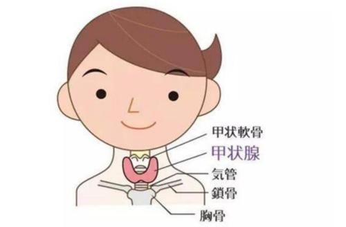 有甲狀腺結節的中老年人，這幾個行為要杜絕，別讓問題更復雜