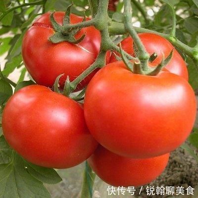 长寿|想长寿先会吃常吃四种食物,延缓衰老、排毒养颜,预防心血管疾病