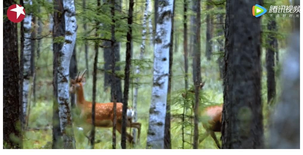 綜藝|《極限挑戰(zhàn)寶藏行2》首播獲好評，它有3大優(yōu)點，其他綜藝無法模仿