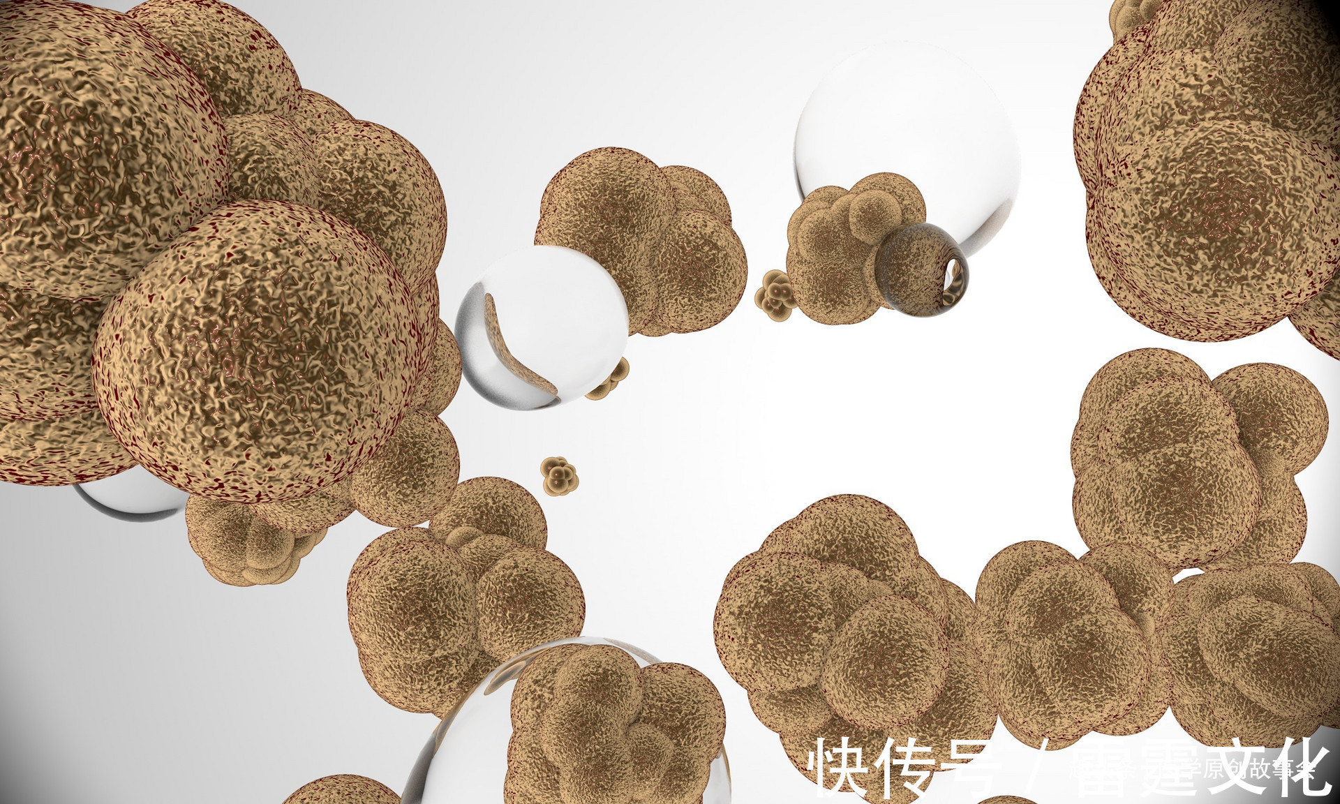 患癌|42岁患癌，从化疗到死亡仅一年，作为丈夫，后悔支持她去化疗