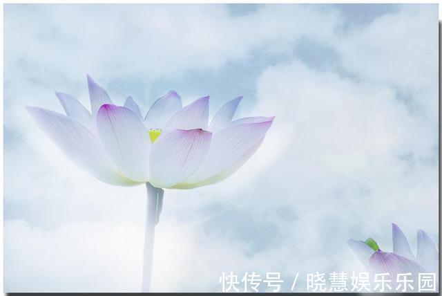 非黑即白$易经:只要你坚定方向,平常心做事,好的机会自己会来