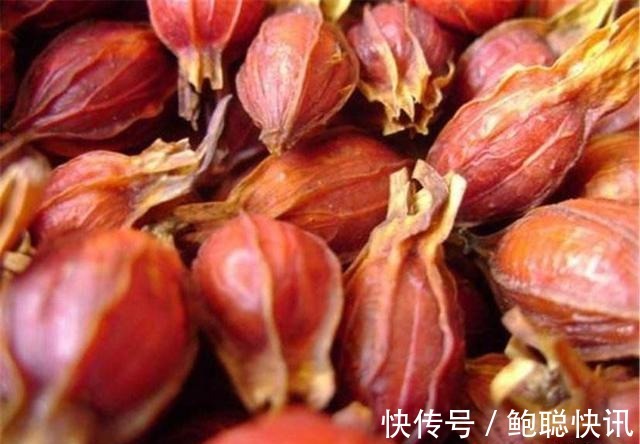 卤水|卤菜配方不重要,那么卤菜师傅不外传的秘方是什么大公开