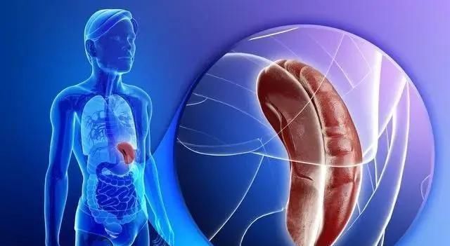 阿是穴|养心、养肝、养肾、养肺、养脾,养五脏方法齐全了