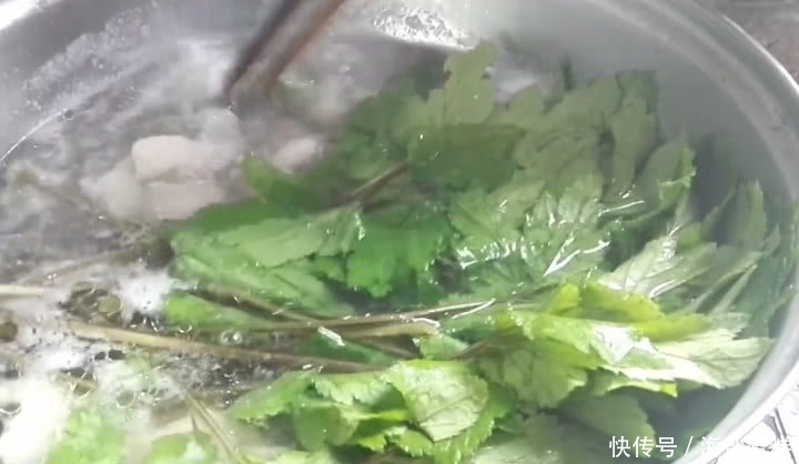 這草長得平凡卻有大價值,既食用還是好藥材,市面得20元一斤