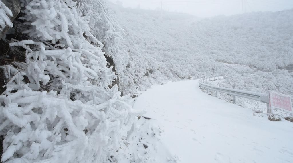 美景|永顺：羊峰山雪后雾凇美景 仿佛置身冰雪童话世界