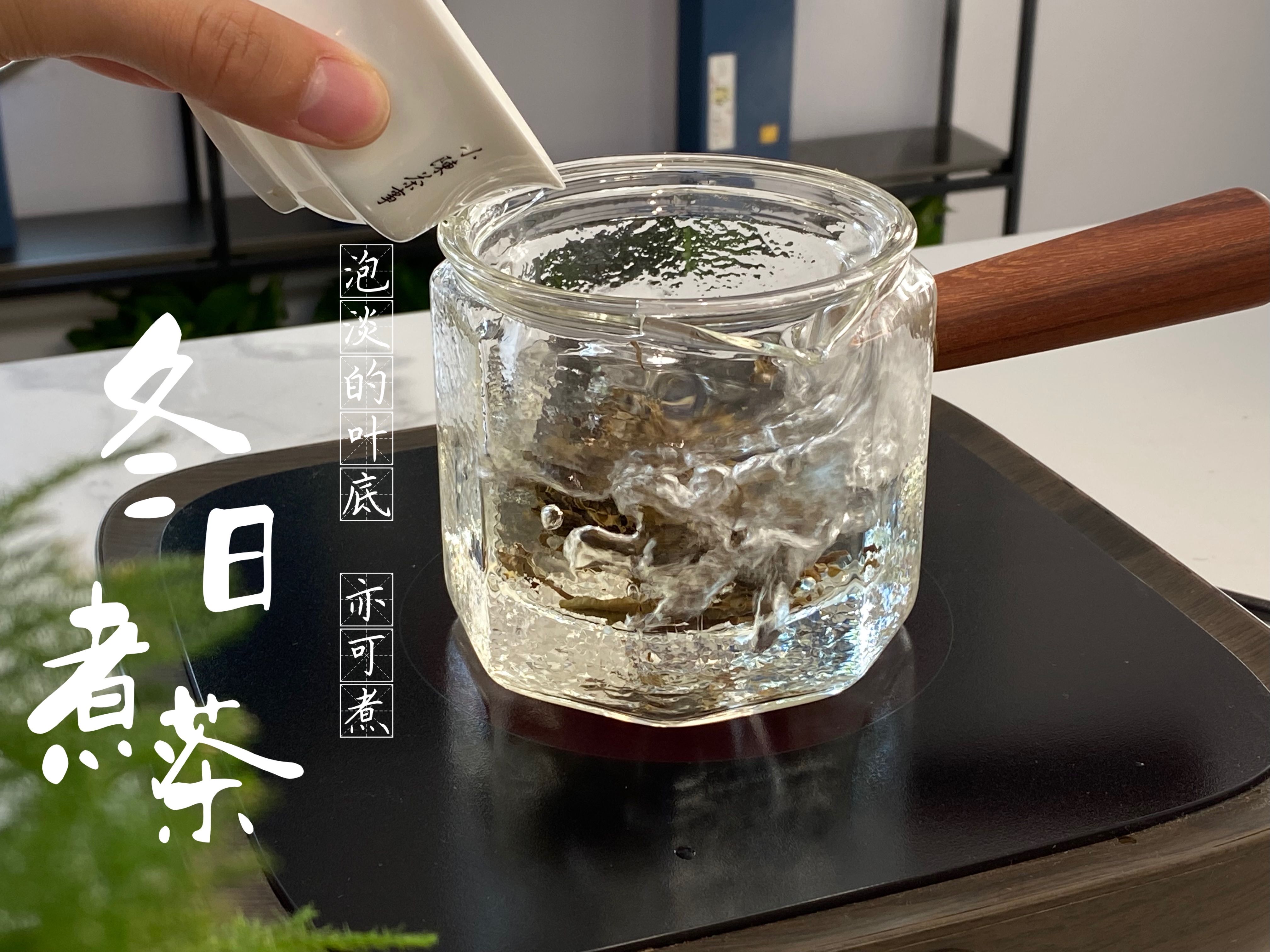 白茶泡着喝和煮着喝,究竟哪一个更香?听村姑陈说完,有收获