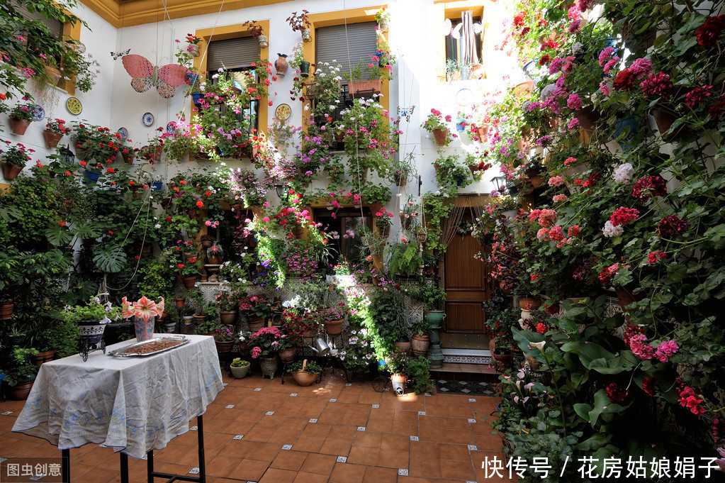 阳台|阳台养殖盆景花卉,7个原则要遵守,才能花开满阳台