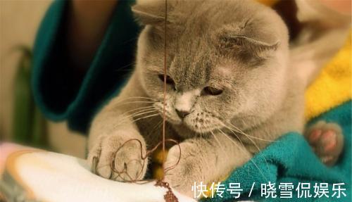 |幽默笑话:过年家里安排相亲,我骑电瓶车去见面,没看中