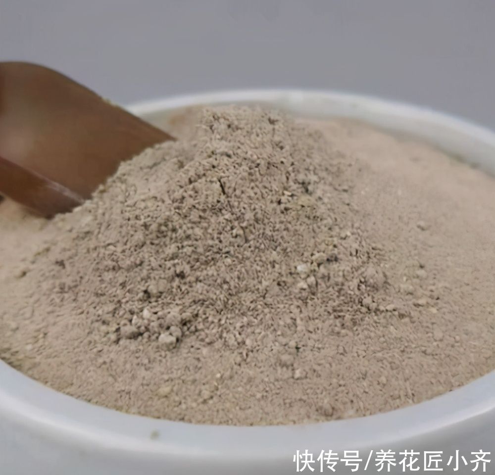 发酵|养君子兰要会施肥，适合它的肥料有“3种”，不同时期用法不同