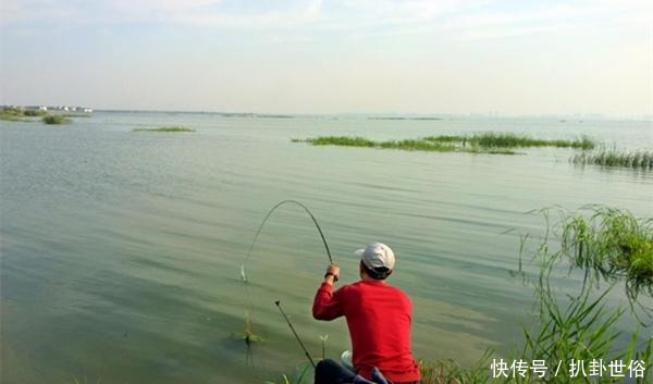 规律|清明过后钓鱼，注意这些变化规律，牢记4钓4不钓，上鱼更多！