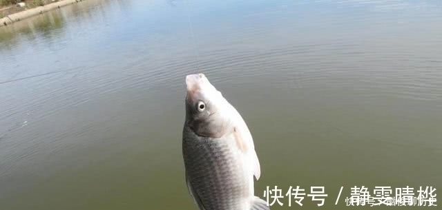 七星漂钓法|七星漂钓鱼有何优势?了解这些过后,你会对七星漂有一个新的认识