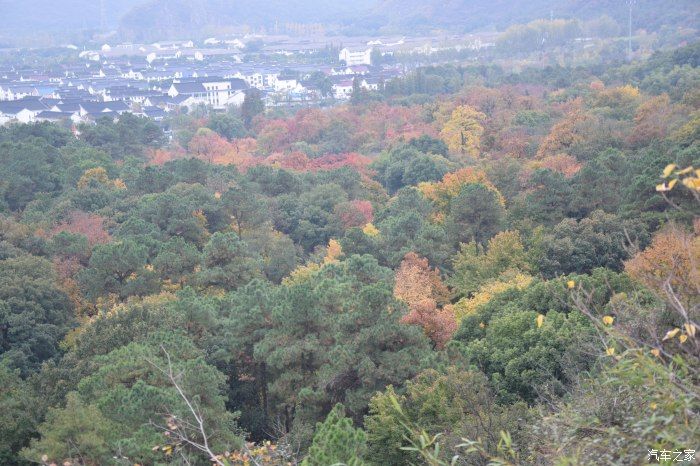 天平山|【喜迎国庆】停车坐爱枫林晚，霜叶红于二月花。游天平山赏枫叶