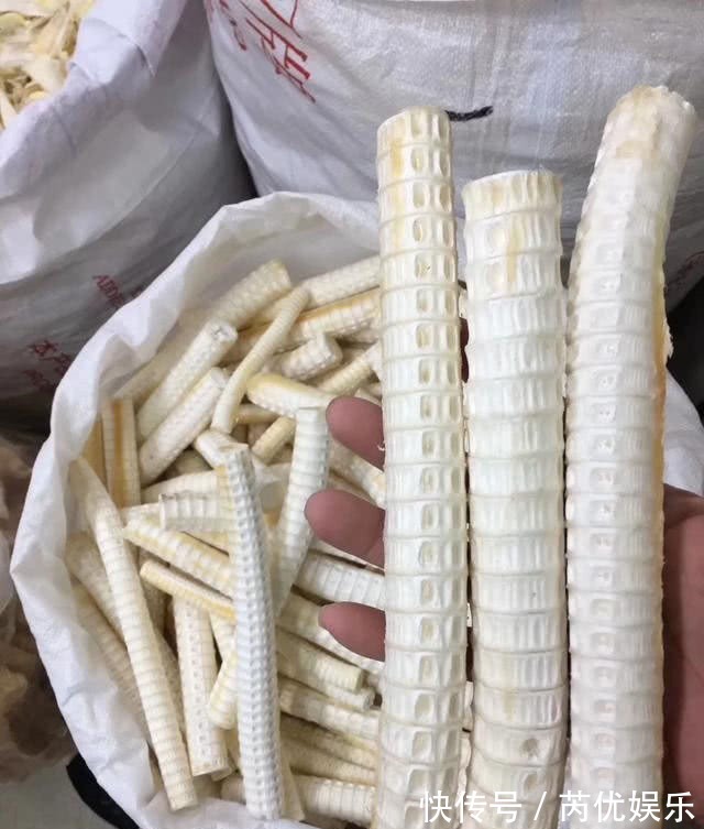 营养物质|骨科医生不想骨头又脆又软,常吃3物,做1事,到老不骨质疏松!