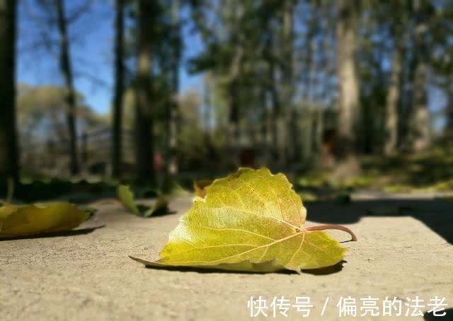 意趣|处暑节气品唐诗，一首秋日小诗，感悟诗中浓浓的哲学意趣