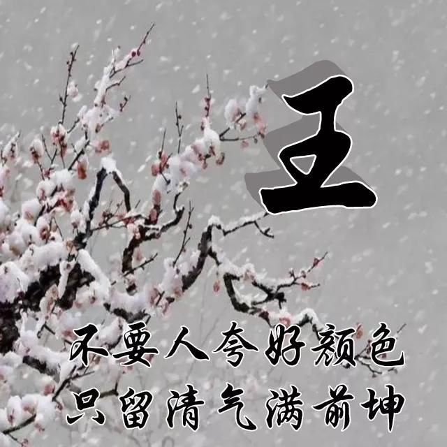  红梅|红梅花儿开，朵朵放光彩，千里冰霜脚下踩