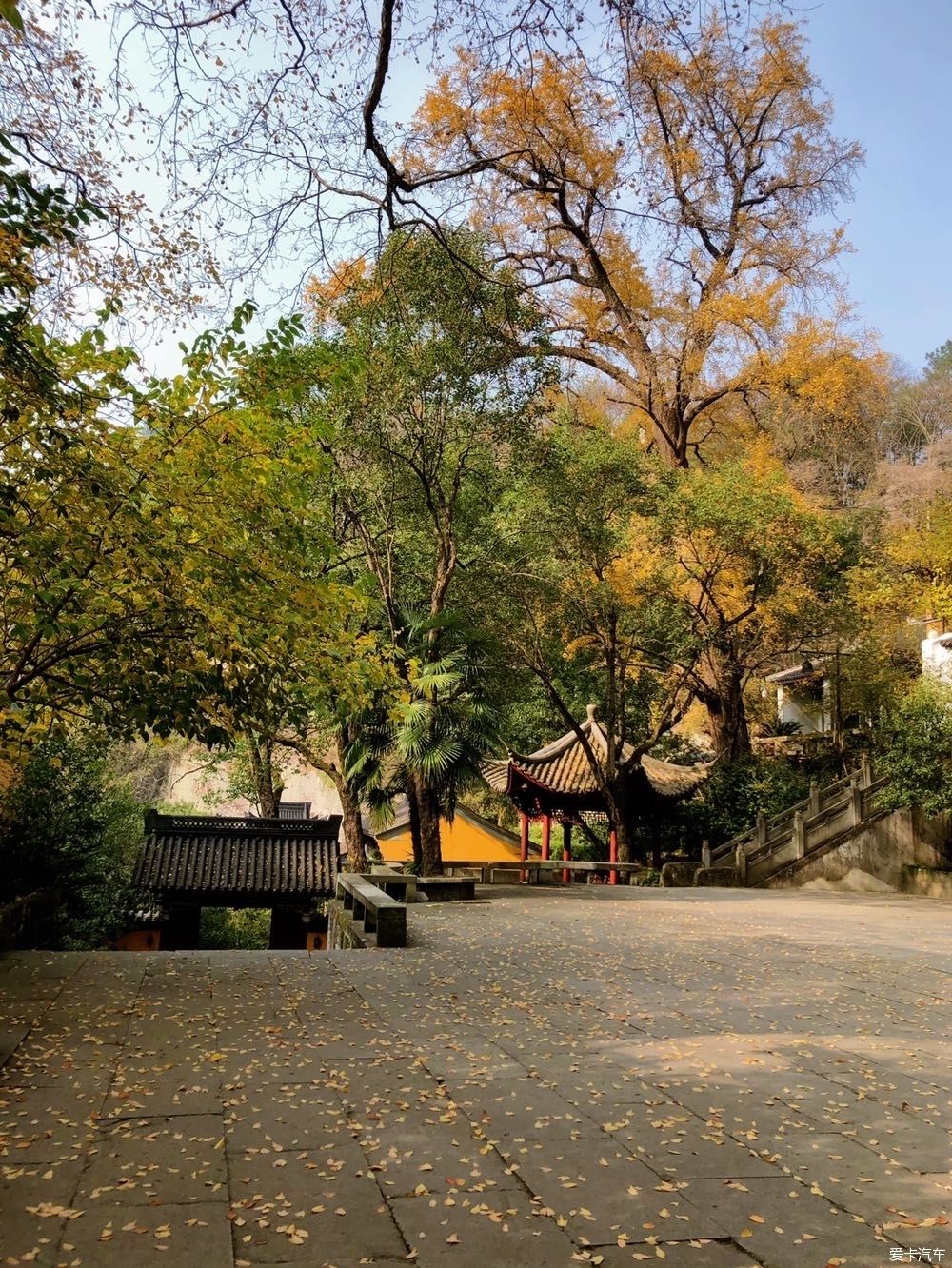 自驾|自驾一日游大佛寺景区