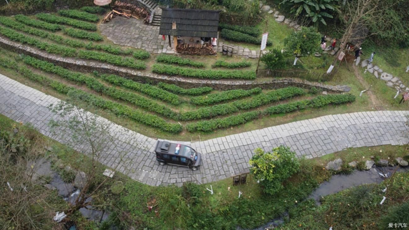 老年|入迷·秦谷