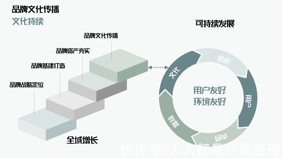 用户|万字解析品牌全域增长模型