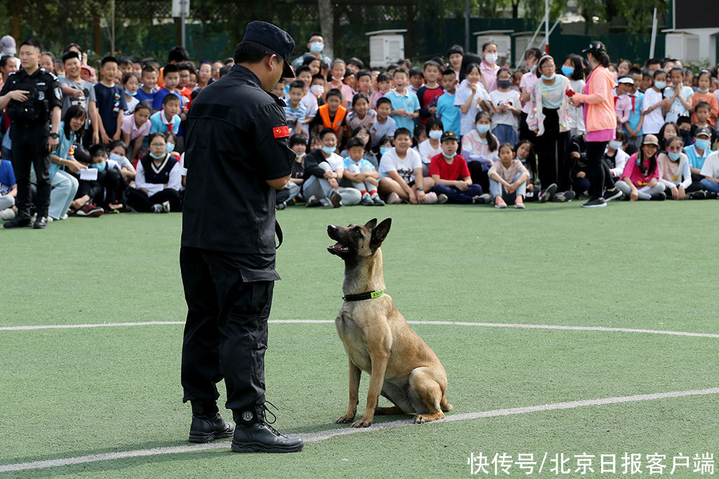 筑牢校园安全防线！北京特警进小学开展反恐安全教育活动