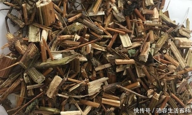 农村被叫做“鬼圪针”的植物，是流落民间的中药材，药店千金难买