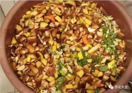 4种垃圾不会分类别担心,埋在花盆底,叶子绿得直滴油!