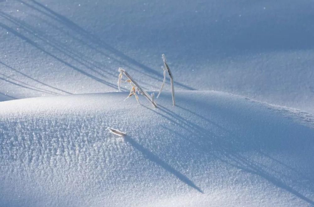  咏雪|这10首咏雪诗词，不带一个雪字，却写尽雪之美！