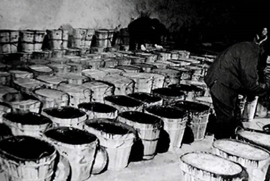 美方|抗战初期，70吨桐油能换一架战斗机，美方：用桐油来抵押贷款