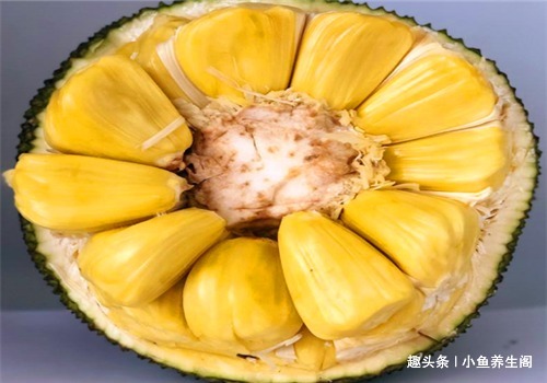 红莓苔子亚属|适合女性吃的4种食物,美容养生、滋润肌肤,早吃早好!