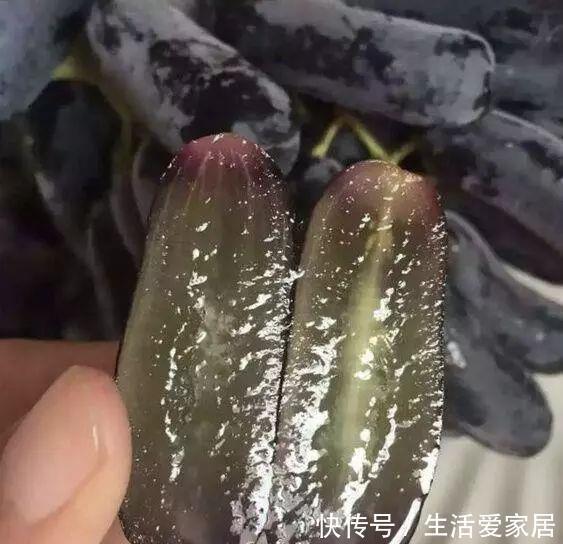 玉米|别种洋葱玉米了,此树我国“独有”,插土就活,种2棵收果10麻袋