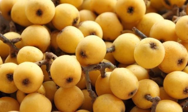 古诗词$4首幽默风趣的古诗词,妙不可言,千年后令人直呼棒棒棒