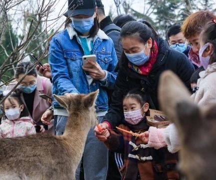 留在济南的N种姿势，大年初三你选哪个