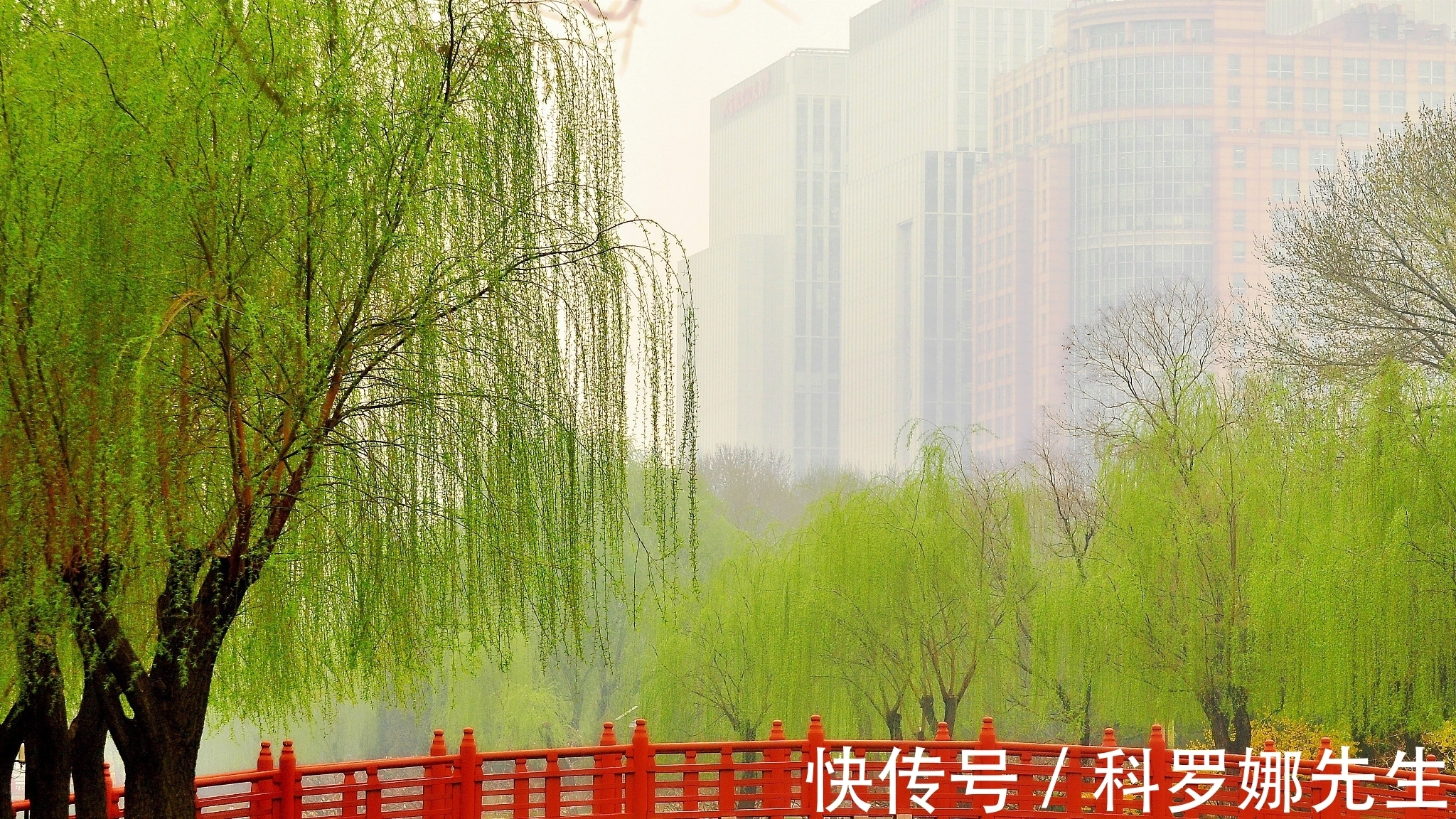 春夜喜雨@唐代伟大诗人:10首经典诗作写尽了一生的悲惨,写尽了岁月的忧愁