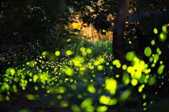 人生|唐诗中很冷门的一首诗,却蕴含人生哲理,值得一读再读