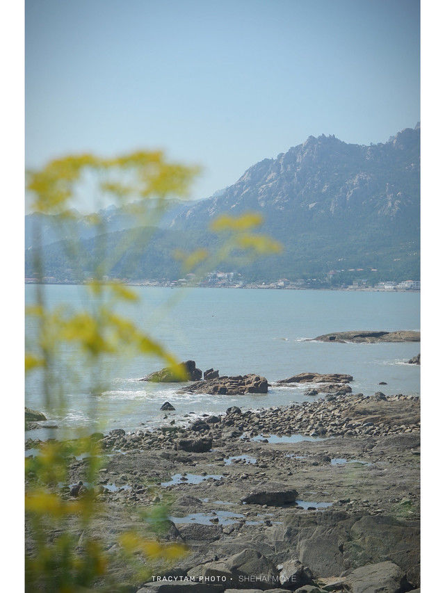 民宿|青岛民宿｜人均300+我住进大海旁