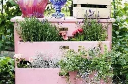 养花|除了花盆之外,这些东西也是绝佳的养花神器,你用过吗?