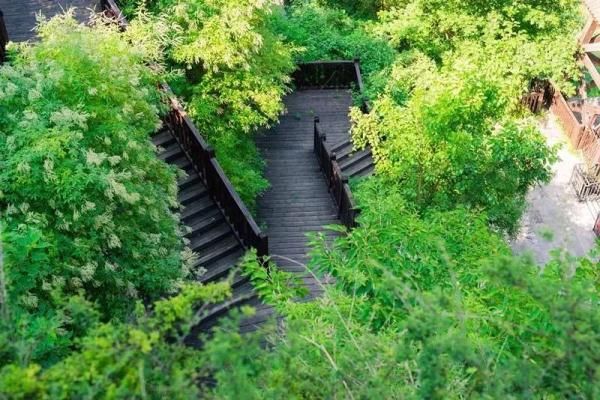 青绿山水|只此青绿，是朝天