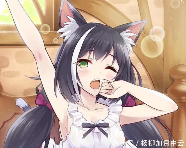 路人|二次元饭圈有些女主角比作品本身更火,本子娜大火,蕾姆路人皆知