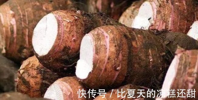 肠道健康|地下人参你知道是什么吗?,真正的护脾王,养脾胃,建议老人多吃