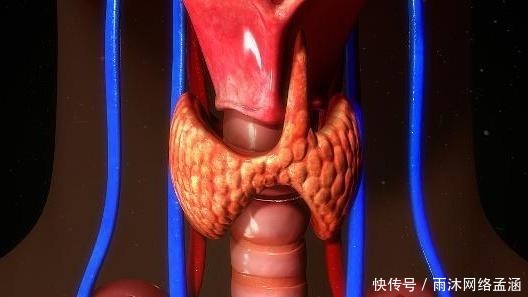 早上|早上起床时的4个表现, 可能和甲状腺结节有关, 赶紧查查