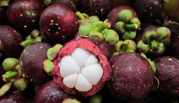 白菜|白菜家家户户都吃,但不建议与3物同食,为了健康须了解